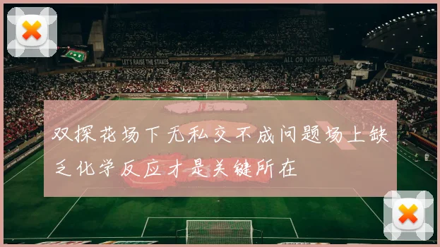 双探花场下无私交不成问题场上缺乏化学反应才是关键所在